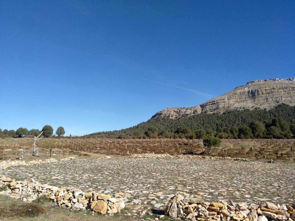 Vila El Nido Del Mirlo Casarejos Exteriér fotografie