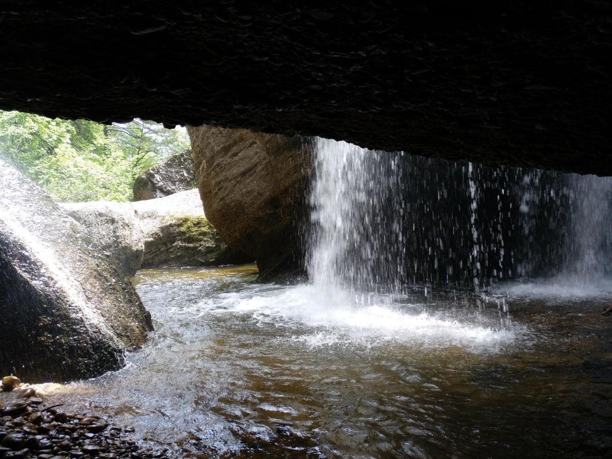 Vila El Nido Del Mirlo Casarejos Exteriér fotografie